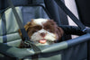 How to Choose the Best Dog Car Seat for Your Dog?