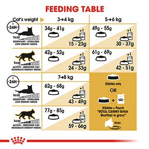 Royal Canin British Shorthair Adult Cat Food 4kg