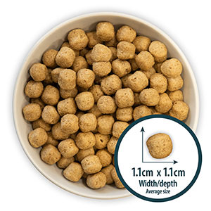 Dry Dog Food Chicken and Brown Rice 12kg