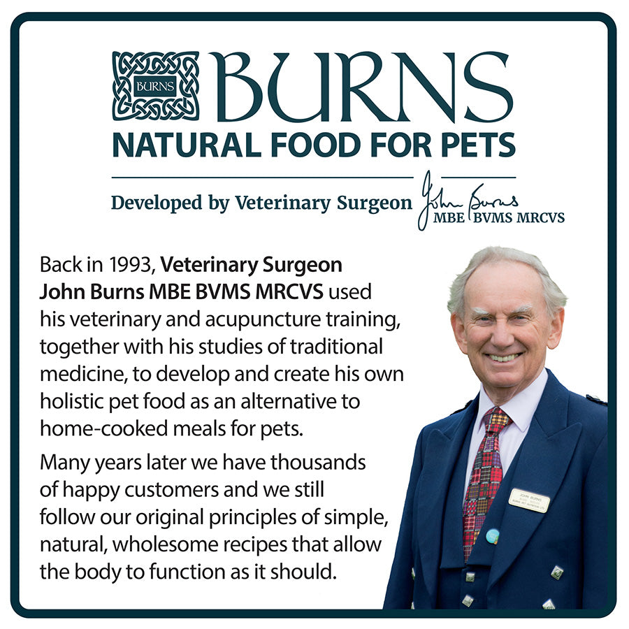 Burns Dry Dog Food Chicken and Brown Rice