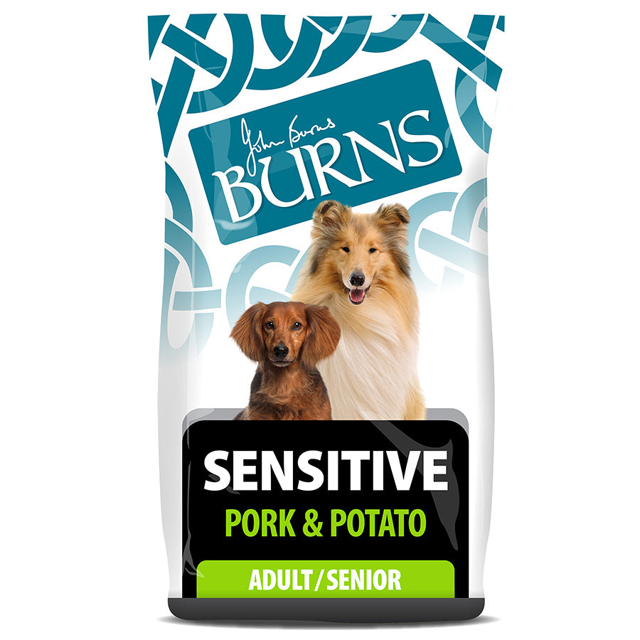 Burns Sensitive Dry Dog Food Pork & Potato 