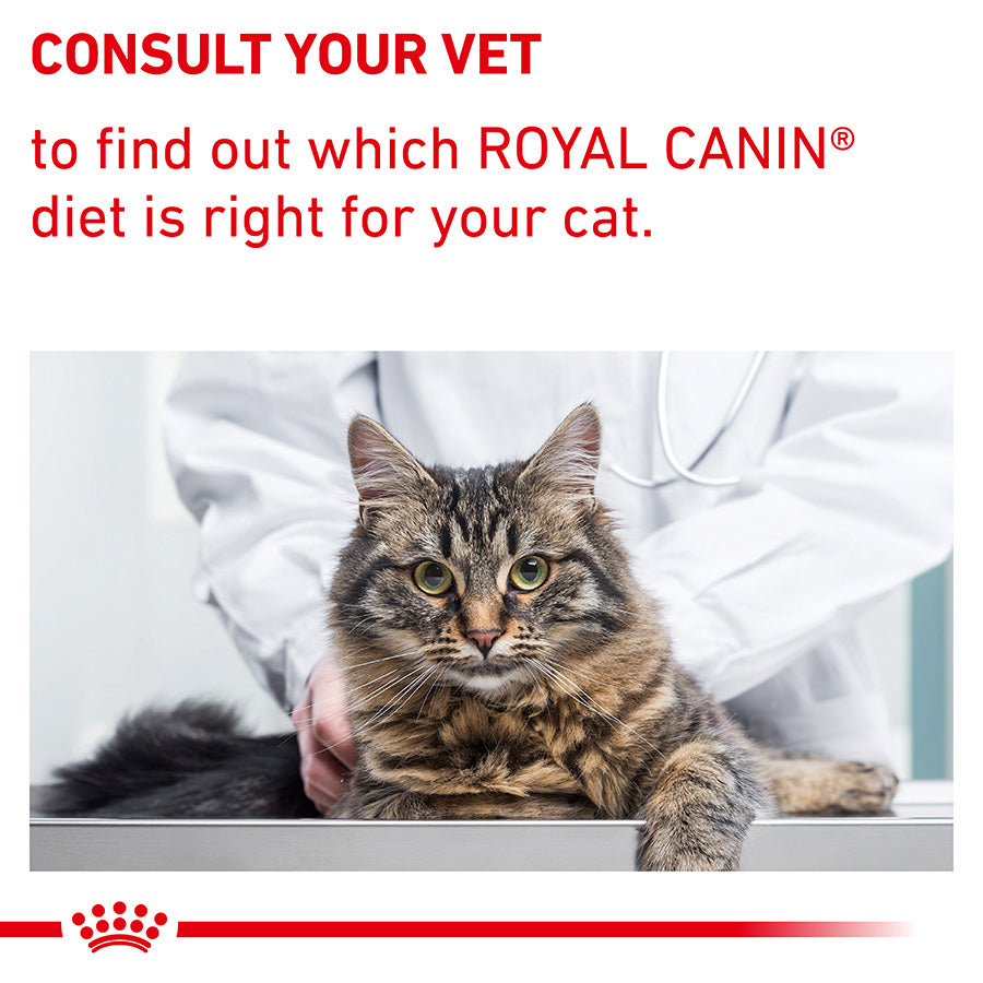 Royal Canin Veterinary Diet Dry Cat Food Dental 3 Kg