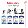 Royal Canin Maxi Adult Dry Dog Food 15kg