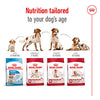 Royal Canin Medium Adult Dry Dog Food 