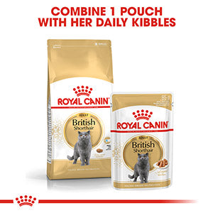 Royal Canin British Shorthair Adult Cat Food 4kg