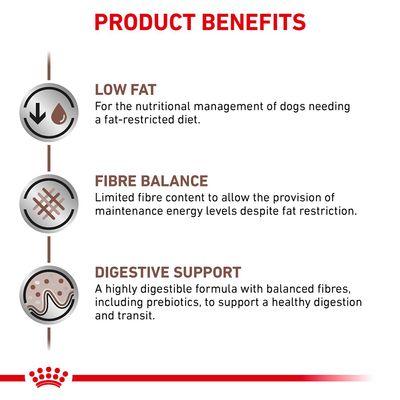 ROYAL CANIN Gastro Intestinal Lf Dog Food, 6 kg