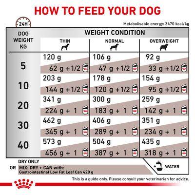 ROYAL CANIN Gastro Intestinal Lf Dog Food, 6 kg