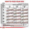 ROYAL CANIN Gastro Intestinal Lf Dog Food, 6 kg